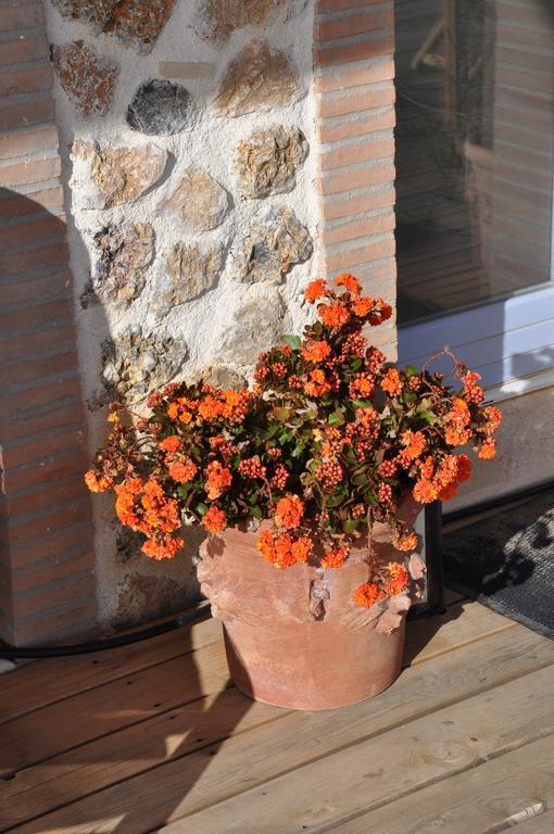 Montecristo Country House Manciano Bagian luar foto