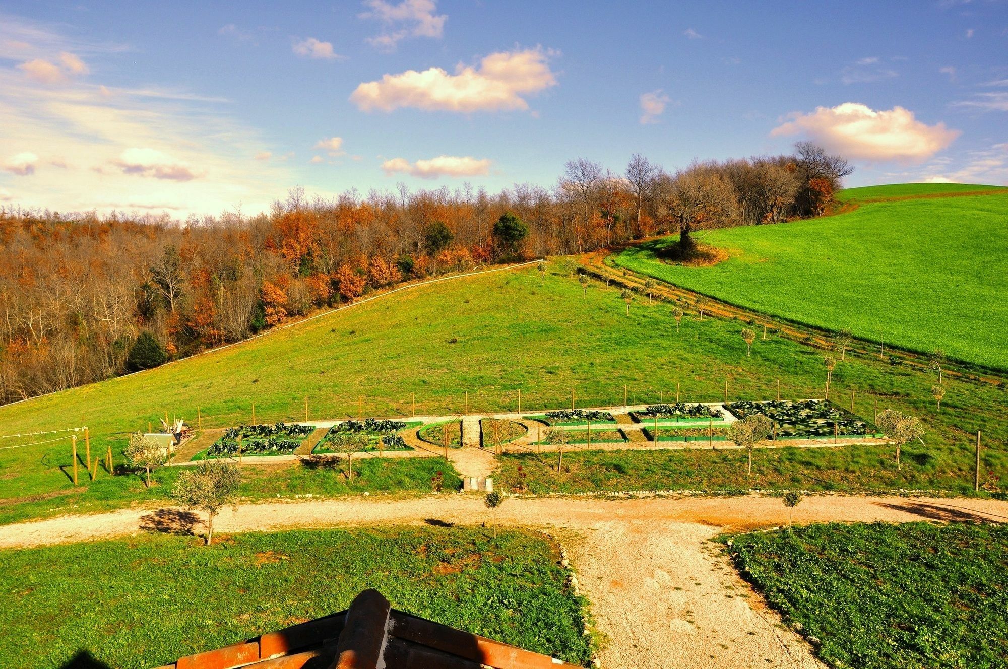 Montecristo Country House Manciano Bagian luar foto