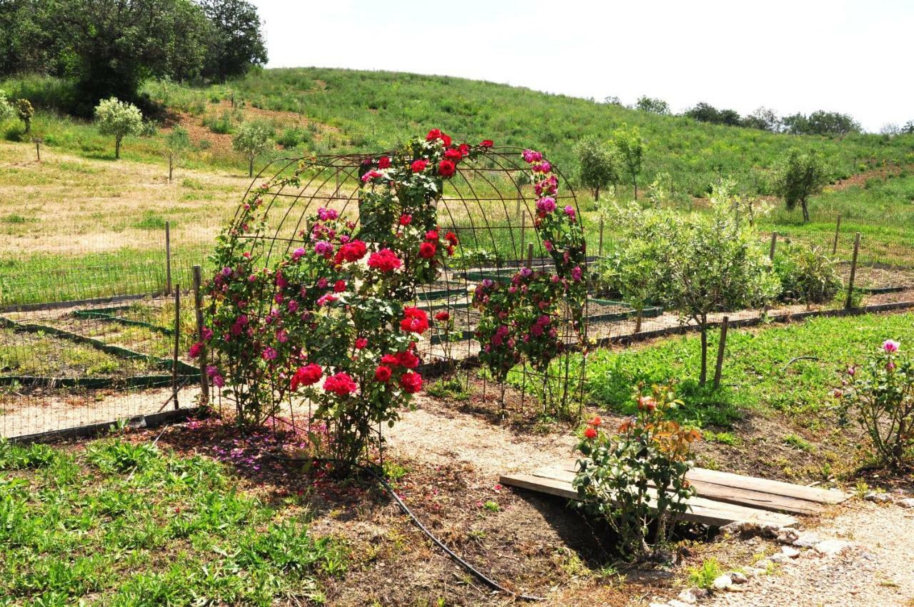 Montecristo Country House Manciano Bagian luar foto