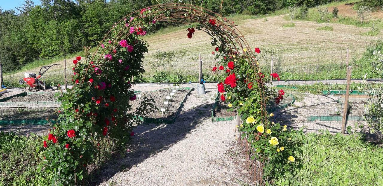 Montecristo Country House Manciano Bagian luar foto